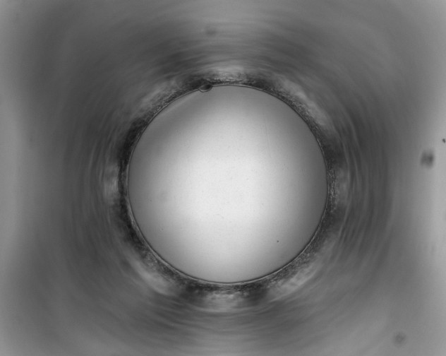 X0000100960213200807081249