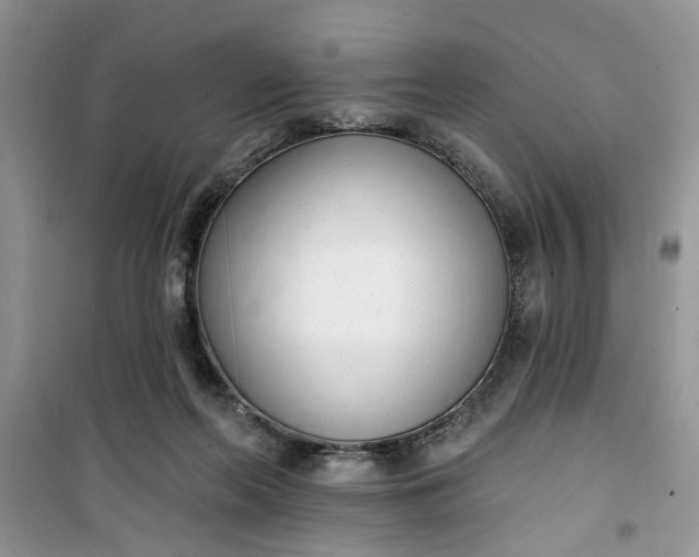 X0000100960214200807081249