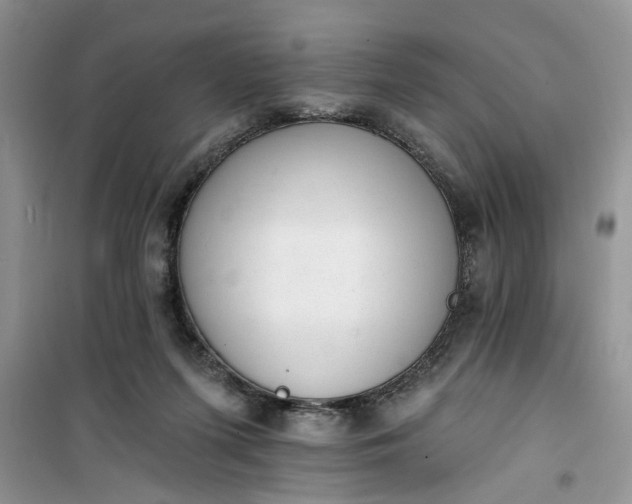 X0000100960215200807081249