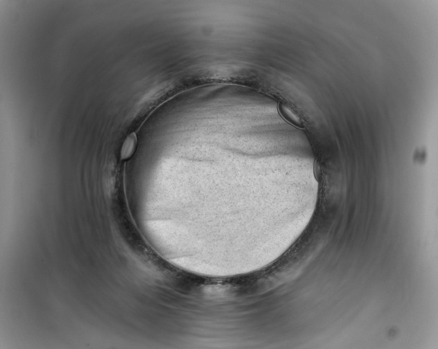 X0000100960216200807081249