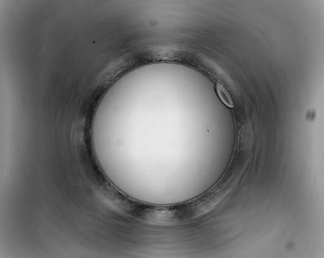 X0000100960217200807081249