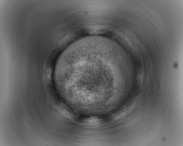 X0000100960219200807081249