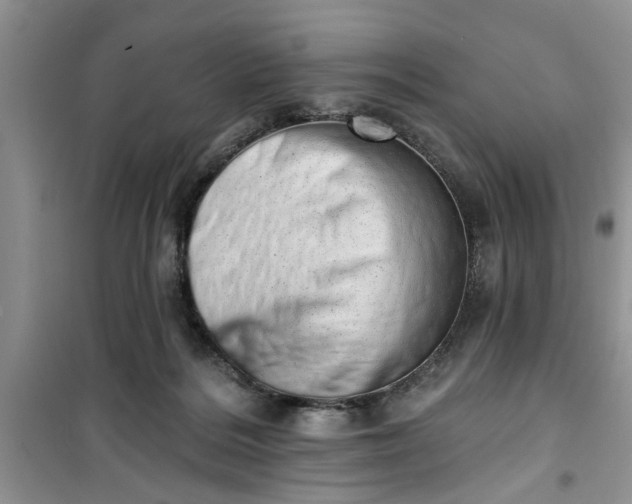 X0000100960220200807081249