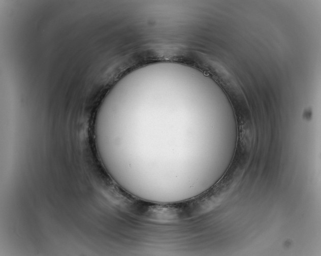 X0000100960221200807081249