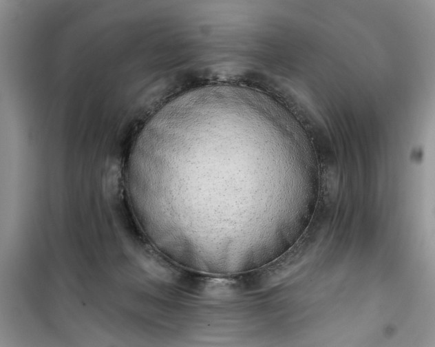 X0000100960222200807081249