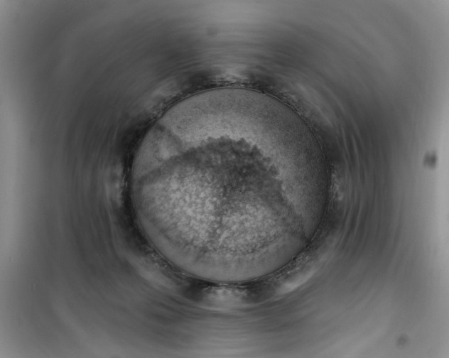 X0000100960223200807081249