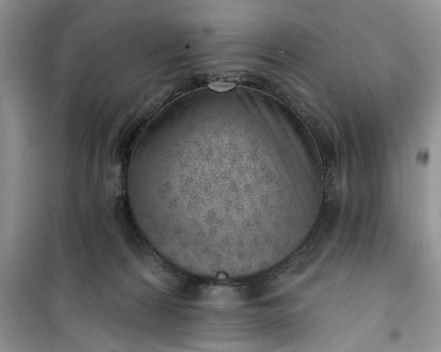 X0000100960224200807081249