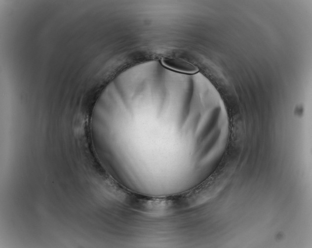 X0000100960225200807081249