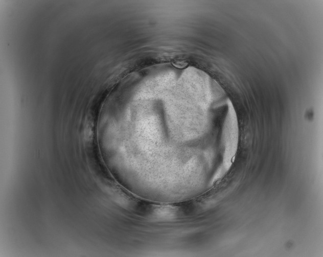 X0000100960226200807081249