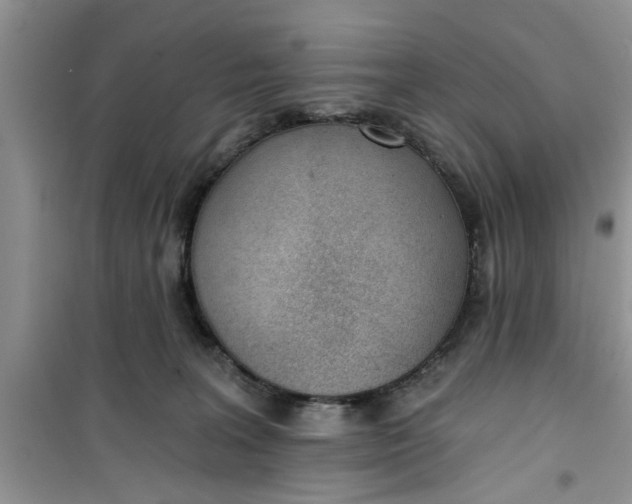 X0000100960227200807081249