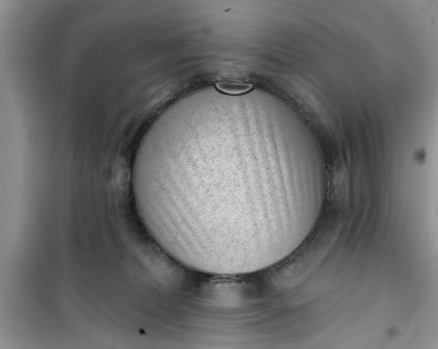 X0000100960228200807081249