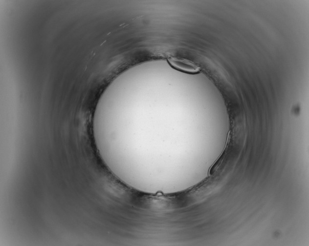 X0000100960229200807081249