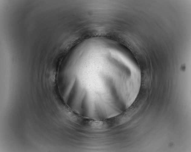 X0000100960230200807081249