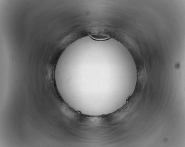 X0000100960233200807081249