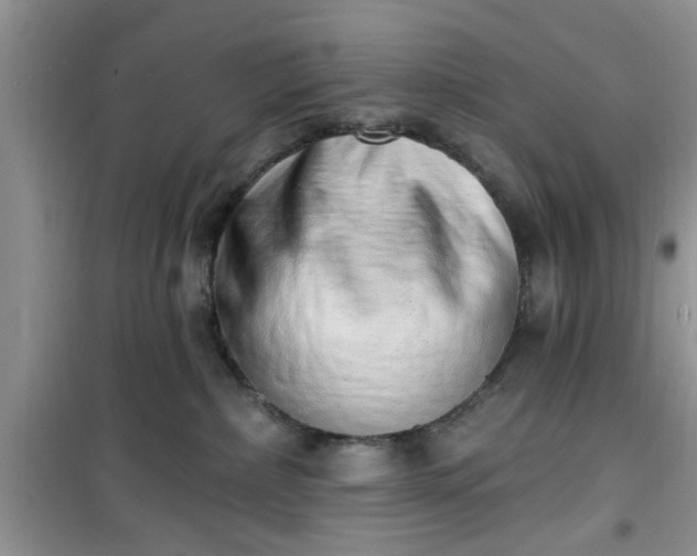 X0000100960236200807081249