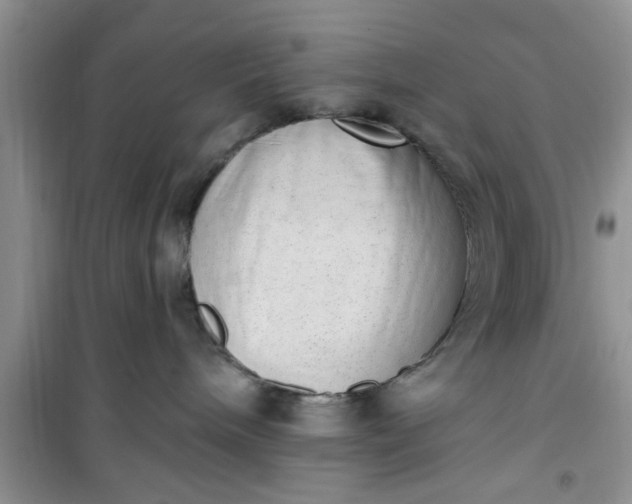 X0000100960240200807081249