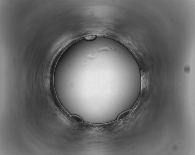 X0000100960243200807081248