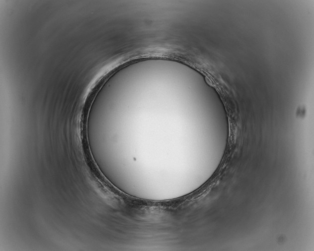 X0000100960244200807081248