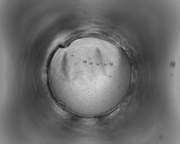 X0000100960245200807081248