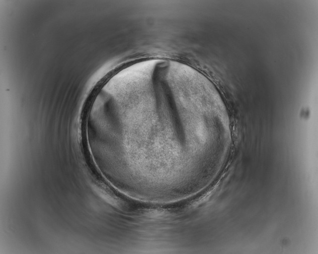 X0000100960246200807081248