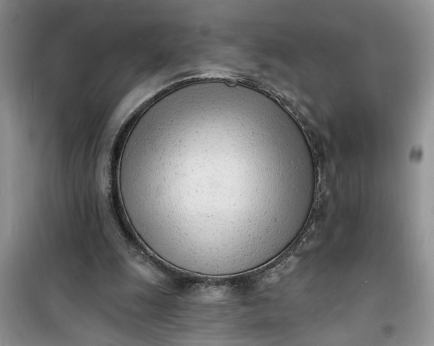 X0000100960247200807081248