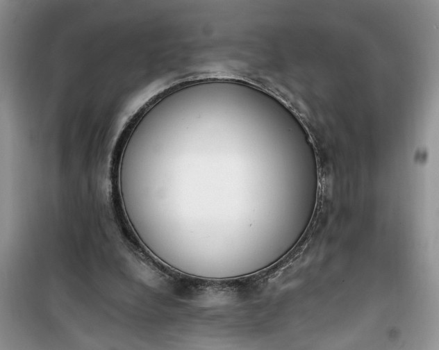 X0000100960248200807081248