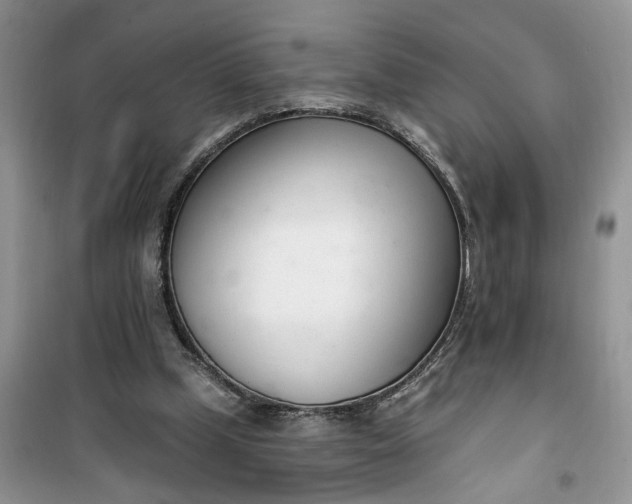 X0000100960249200807081248