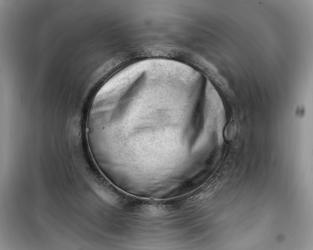 X0000100960250200807081248