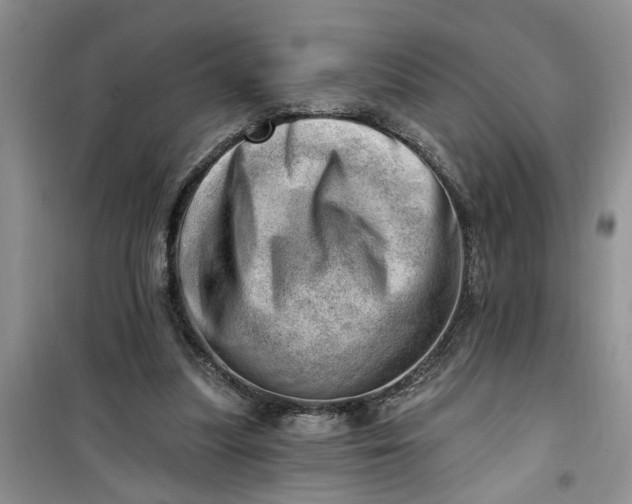 X0000100960251200807081248