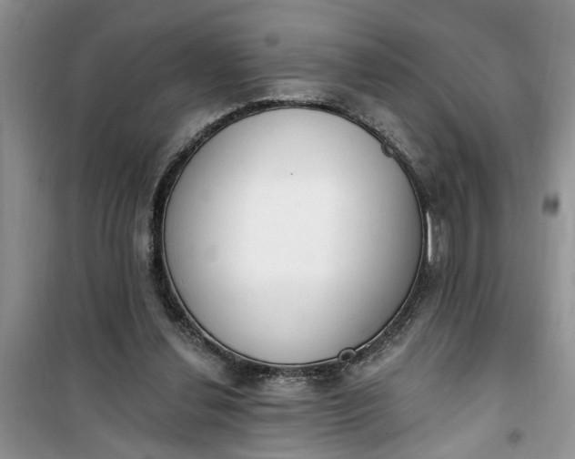 X0000100960252200807081248