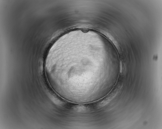 X0000100960253200807081248