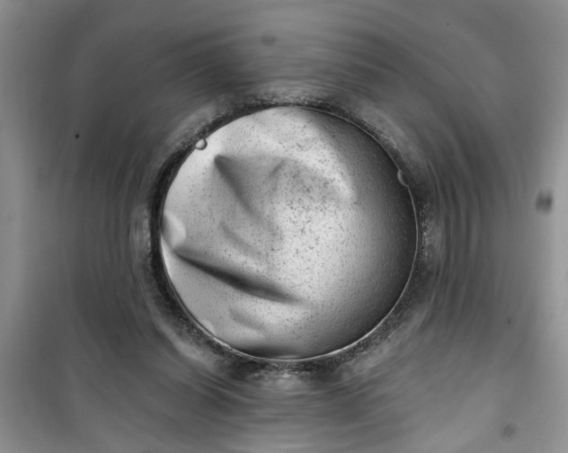 X0000100960254200807081248