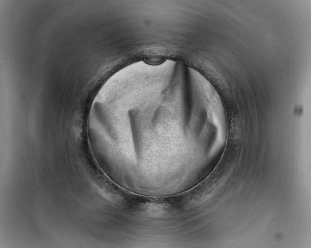 X0000100960255200807081248