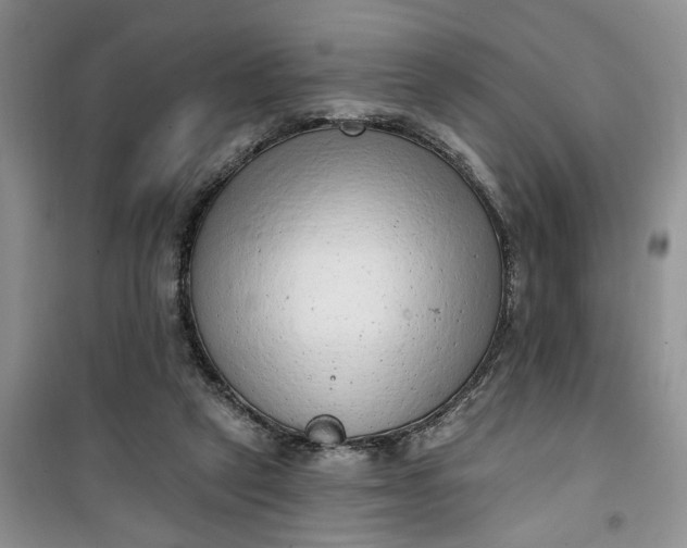 X0000100960257200807081248