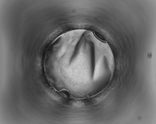 X0000100960258200807081248