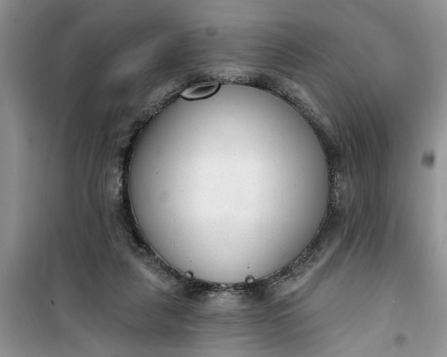 X0000100960259200807081248