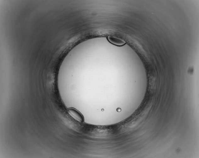 X0000100960260200807081248