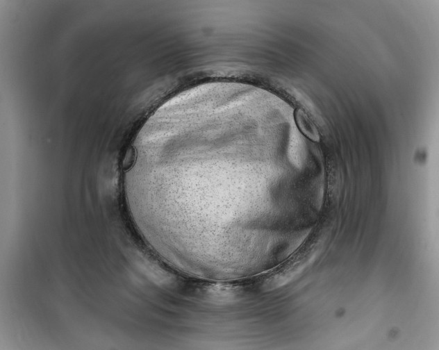 X0000100960261200807081248