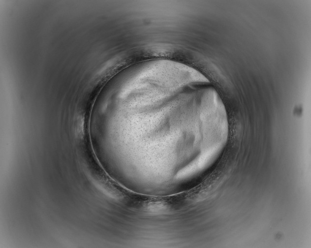 X0000100960262200807081248