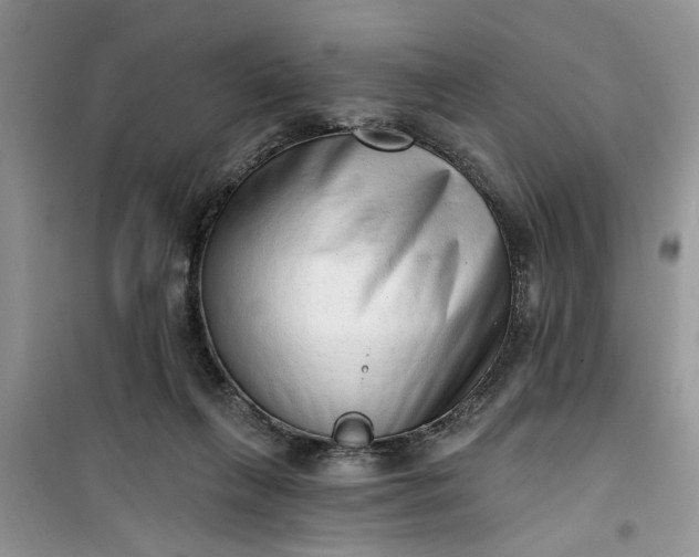 X0000100960263200807081248