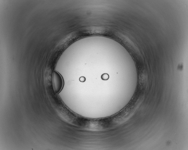 X0000100960264200807081248