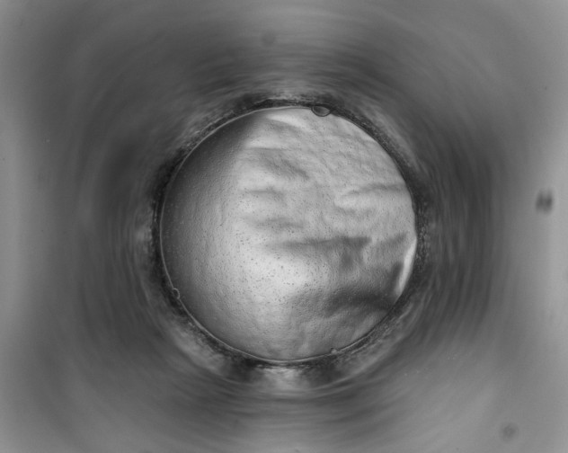 X0000100960265200807081248