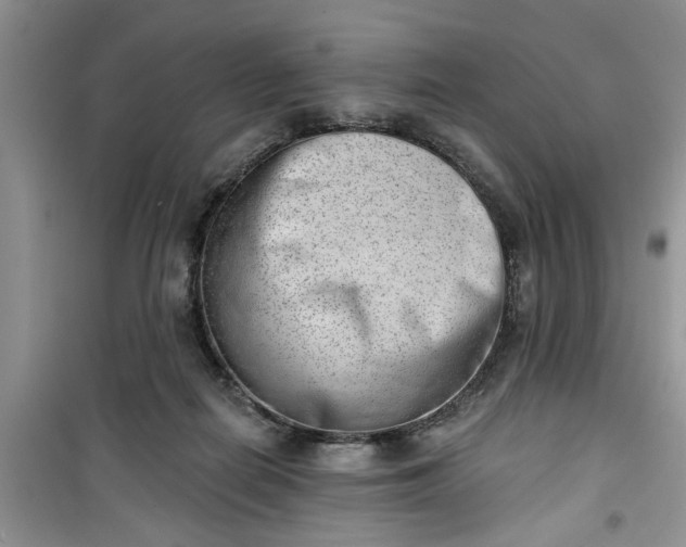 X0000100960266200807081248