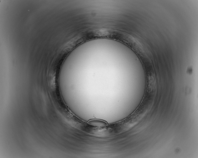 X0000100960267200807081248