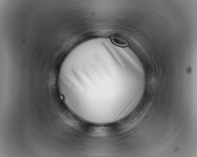 X0000100960268200807081248