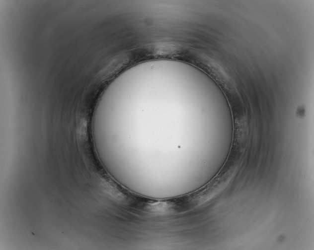 X0000100960269200807081248