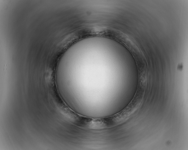 X0000100960270200807081248