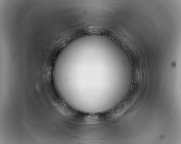 X0000100960271200807081248