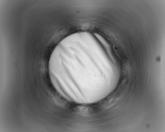 X0000100960272200807081248