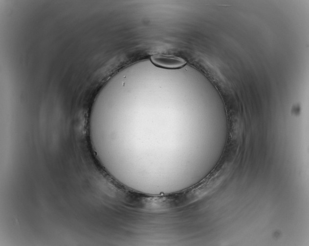 X0000100960273200807081248